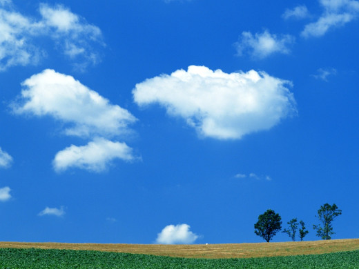 24744 (a): :1024x768